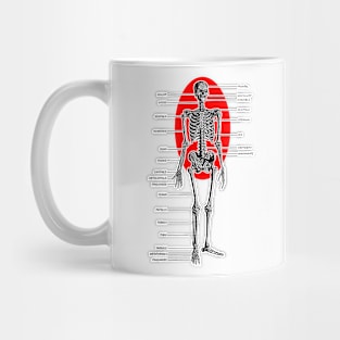 Skeleton Anatomy Identifiable Bones Mug